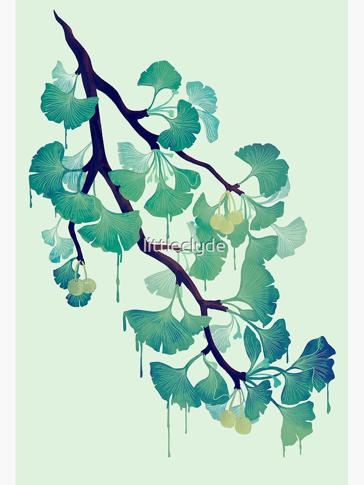 Thumbnail 3 of 3, Canvas Print, O Ginkgo (in Green) designed and sold by littleclyde.