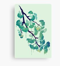 O Ginkgo (in Green) Canvas Print