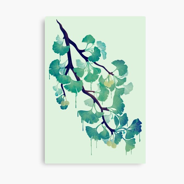 O Ginkgo (in Green) Canvas Print