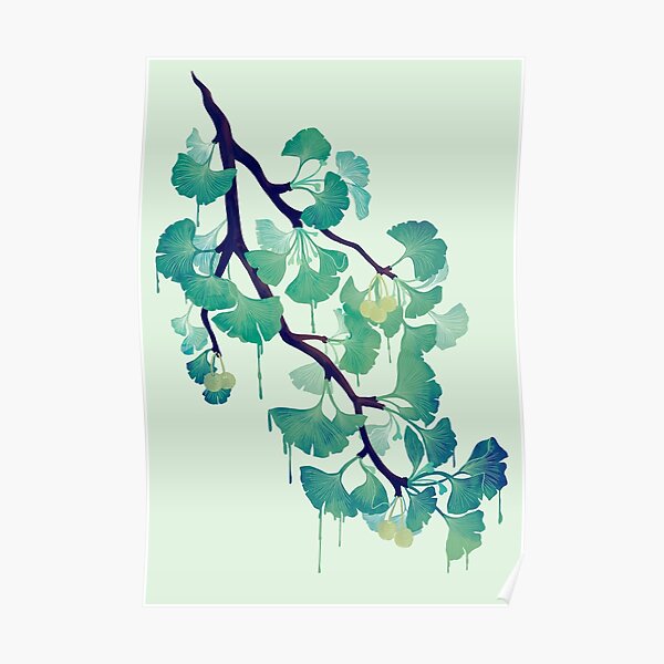 O Ginkgo (in Green) Poster