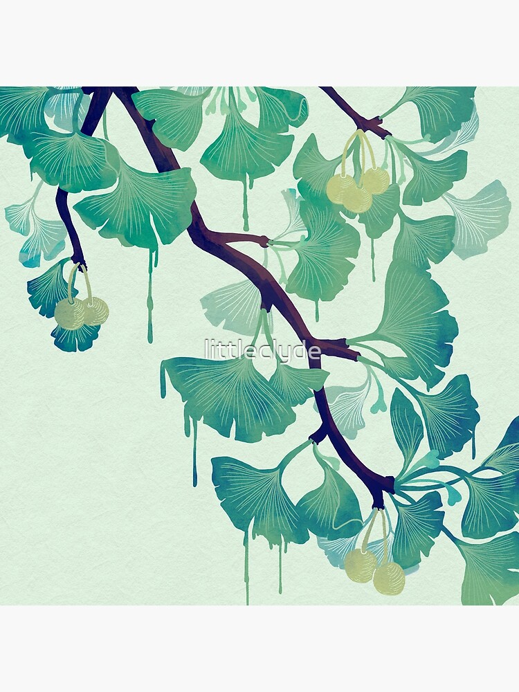 O Ginkgo (in Green) by littleclyde
