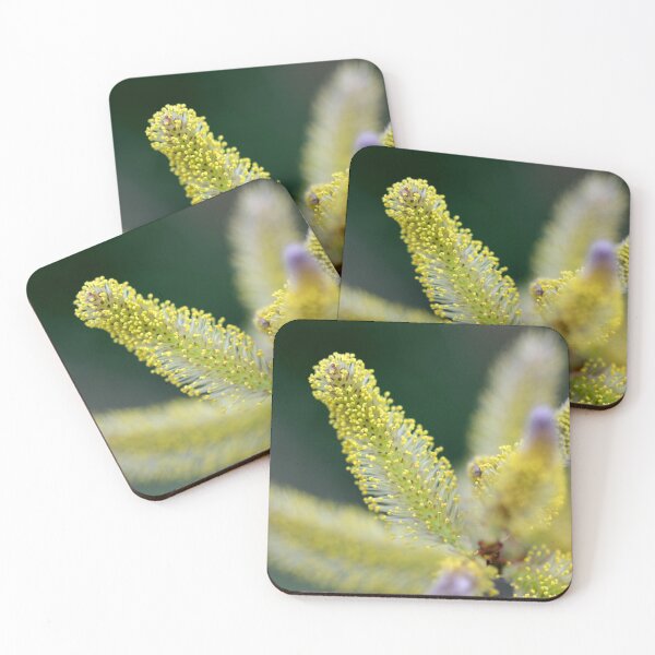 Item preview, Catkin up close designed and sold by cuprum.