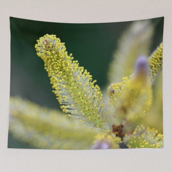Item preview, Catkin up close designed and sold by cuprum.
