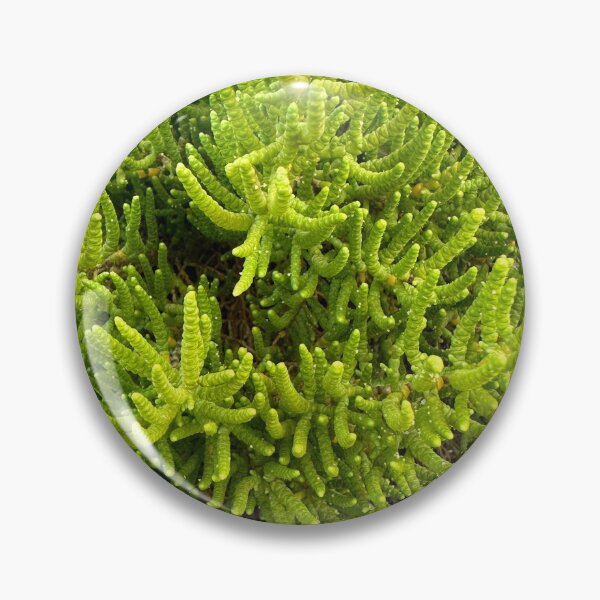 Item preview, Greenish designed and sold by SpaceRiver.