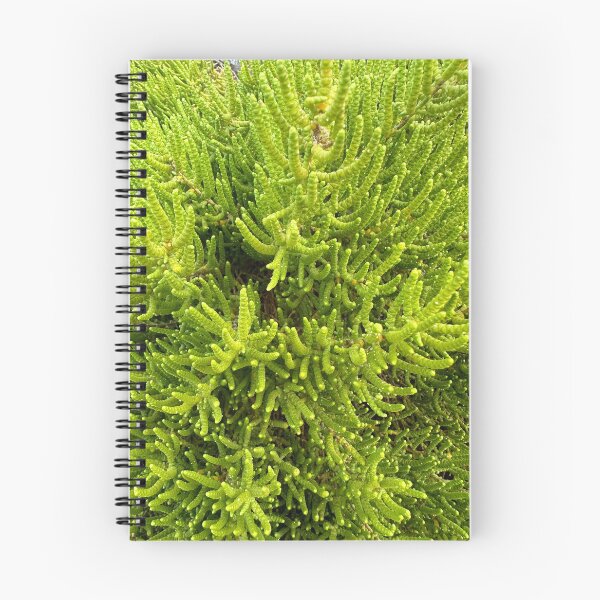 Item preview, Greenish designed and sold by SpaceRiver.