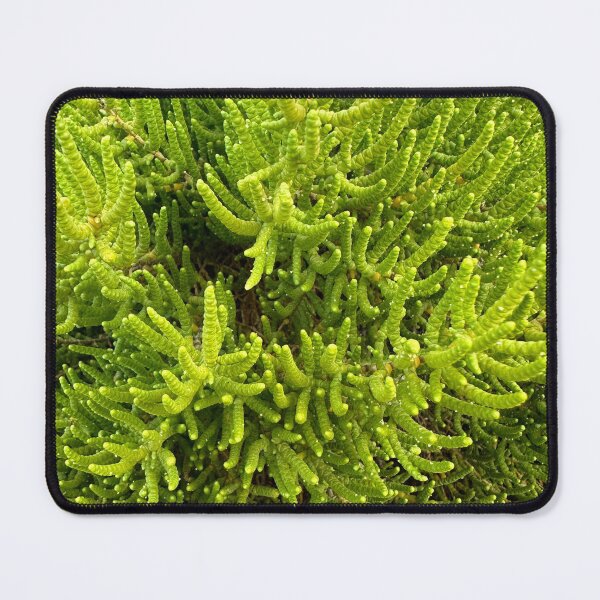 Item preview, Greenish designed and sold by SpaceRiver.
