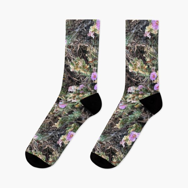 Item preview, Blooms designed and sold by SpaceRiver.