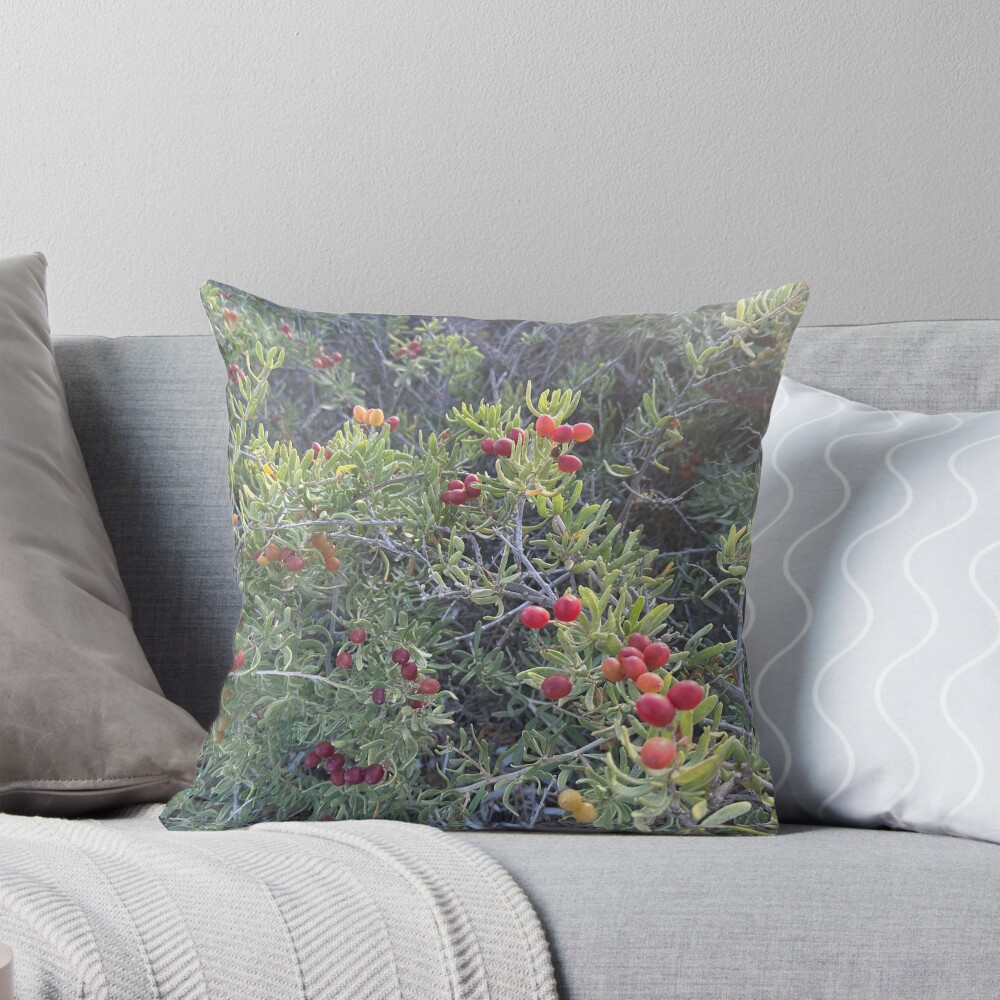 Aperçu de l'œuvre Coussin créée et vendue par SpaceRiver.