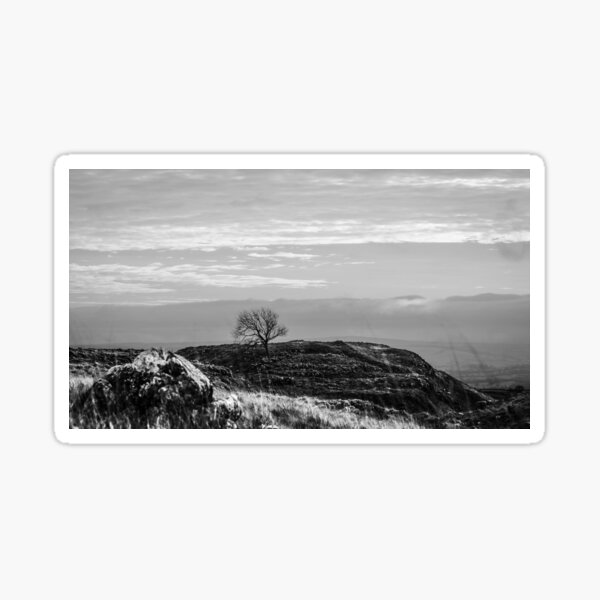 Lone Tree, Malham Sticker