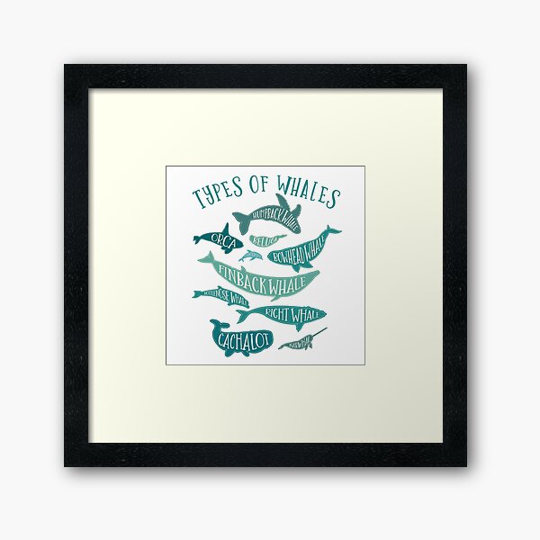 Item preview, Vintage Whale Lover Design designed and sold by MarkusShirts.