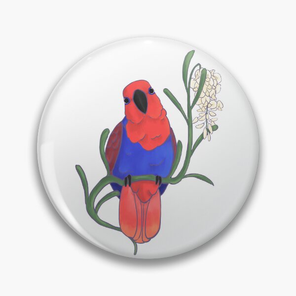 Item preview, Female eclectus designed and sold by SophieTraegerArt.
