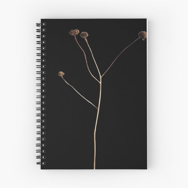 Item preview, Dried plant flowers, dried flowers, flowers and plants designed and sold by sinmsroeldy.