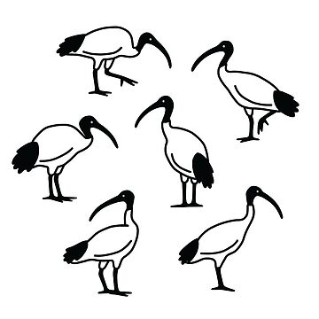 Artwork thumbnail, Bin Chickens by Kiki-Bibi