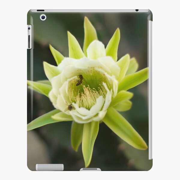 Princess of the Night - Bloom with Playful Bees iPad Snap Case