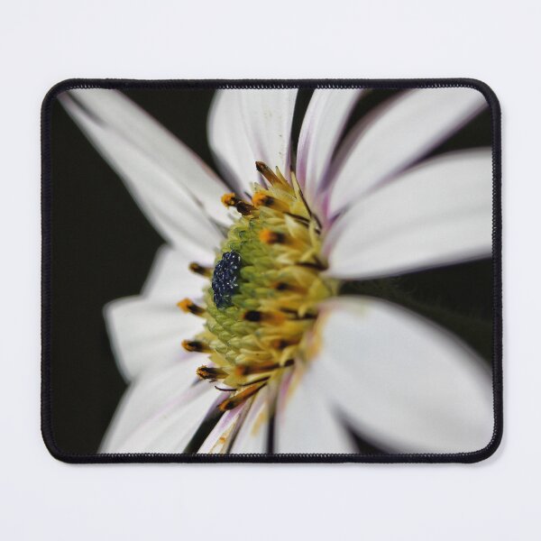 Item preview, pieza central designed and sold by CJWoolhead.