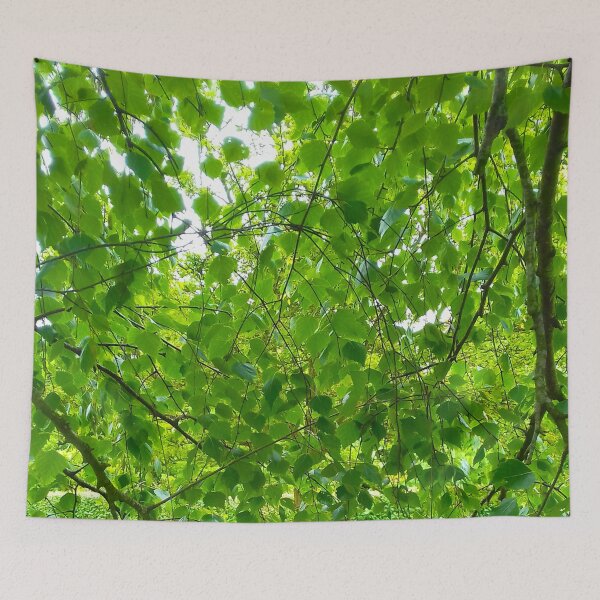 Item preview, Under the branches of a Silver Birch tree. designed and sold by claireseyeview.