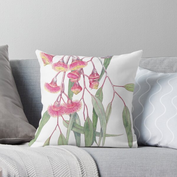 Item preview, Eucalyptus caesia designed and sold by Pat Dundas.