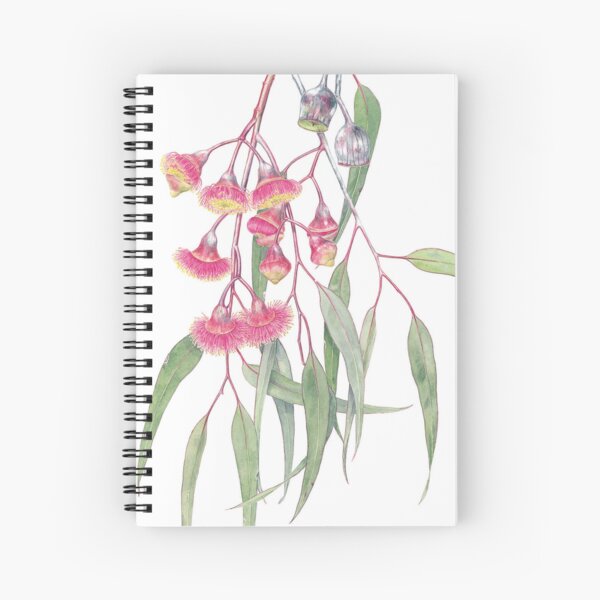 Item preview, Eucalyptus caesia designed and sold by Pat Dundas.