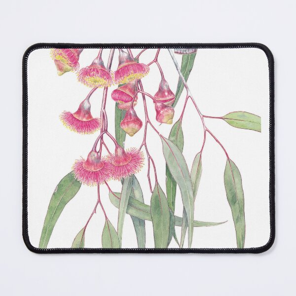 Item preview, Eucalyptus caesia designed and sold by Pat Dundas.