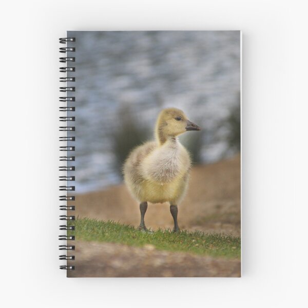 Item preview, No es un patito tan feo designed and sold by CJWoolhead.