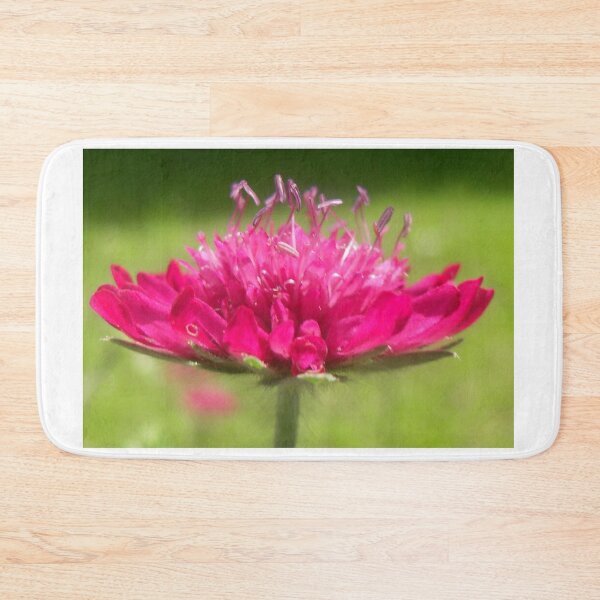 Item preview, Scabiosa ~ Greater Knapweed designed and sold by angel1.