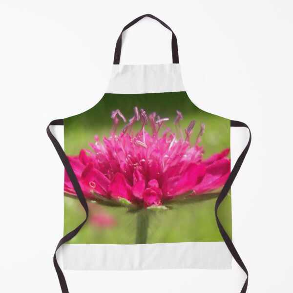 Item preview, Scabiosa ~ Greater Knapweed designed and sold by angel1.