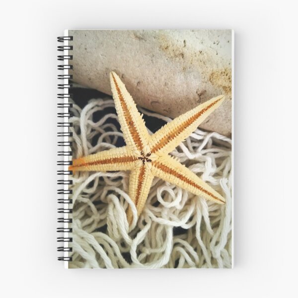 Item preview, Starfish and Net designed and sold by Coogirl.
