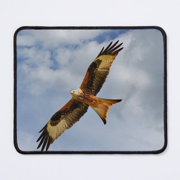 Item preview, Red kite in flight designed and sold by inspireyoureyes.