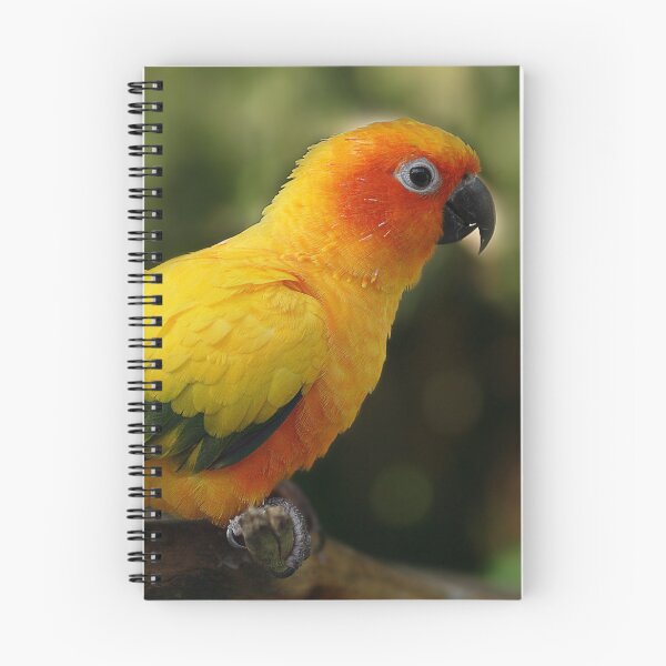 Item preview, Sun Conure II designed and sold by Didi Bingham.