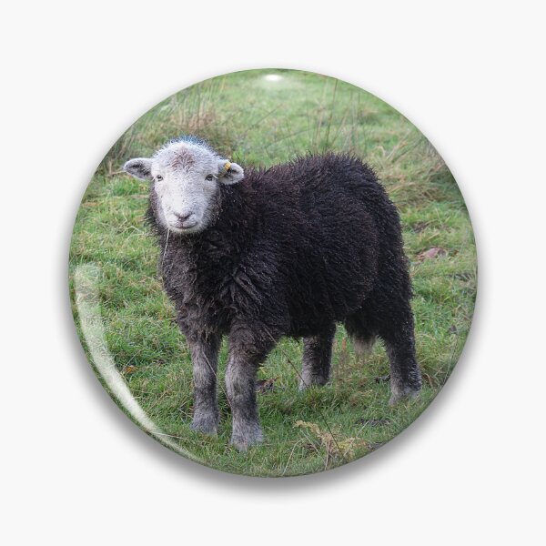 Item preview, A curious herdwick sheep designed and sold by inspireyoureyes.