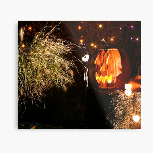 Pumpkin and grass Metal Print