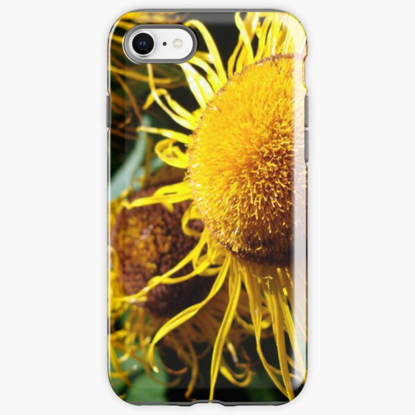 Sunflowers in Bloom - Shee Nature Photography iPhone Tough Case