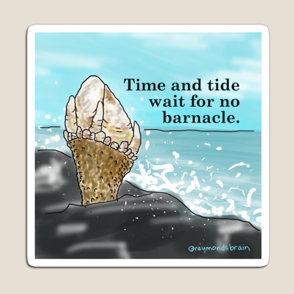Time and Tide Wait for No Barnacle Magnet