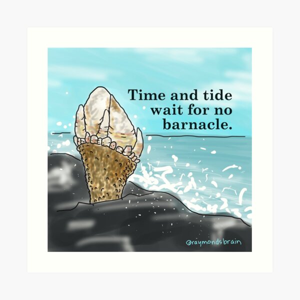 Time and Tide Wait for No Barnacle Art Print