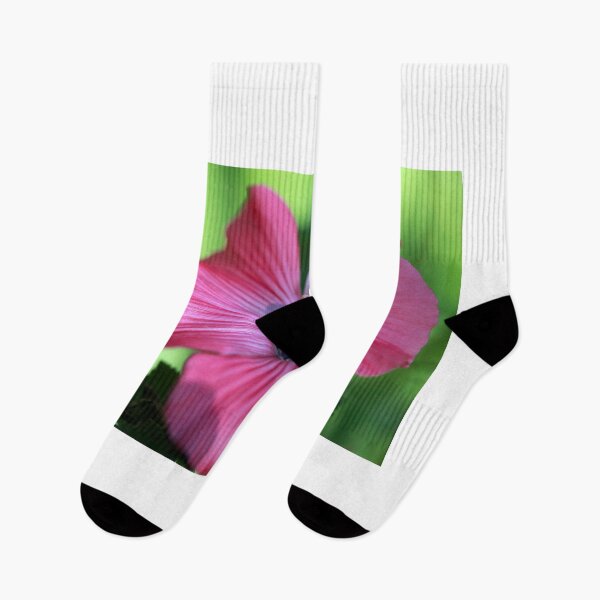 Item preview, Pink flower in summer garden designed and sold by olena2552.