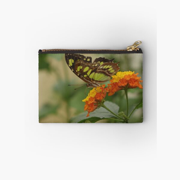 Item preview, Siproeta stelenes  designed and sold by frogs123.