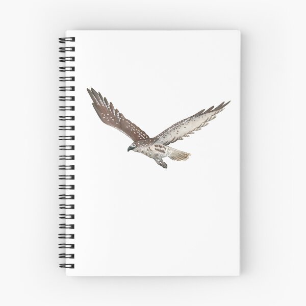 Item preview, Goshawk designed and sold by Corinna Arauner.