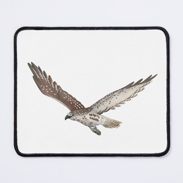Item preview, Goshawk designed and sold by Corinna Arauner.