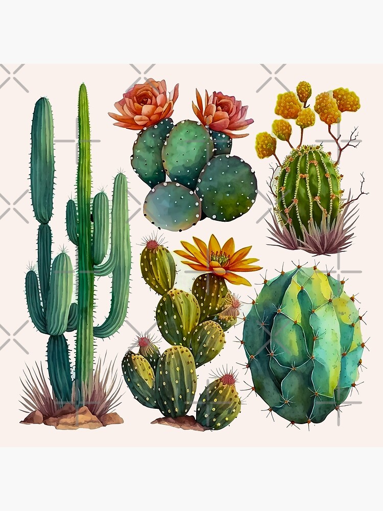 set of cacti, aloe and leaves. Decorative natural elements. Cactus with  flowers. botanical illustration. No.2 Art Board Print for Sale by  ShopThousand