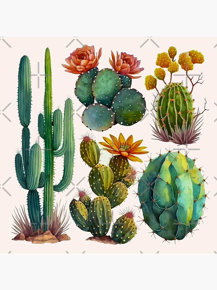 set of cacti, aloe and leaves. Decorative natural elements. Cactus with  flowers. botanical illustration. No.2 | Sticker