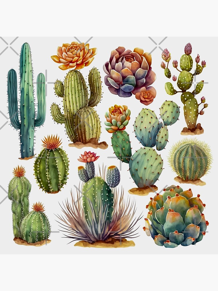 set of cacti, aloe and leaves. Decorative natural elements. Cactus with  flowers. botanical illustration. No.3 Poster for Sale by ShopThousand