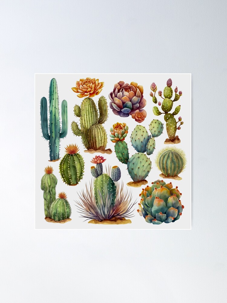 set of cacti, aloe and leaves. Decorative natural elements. Cactus with  flowers. botanical illustration. No.3 | Poster