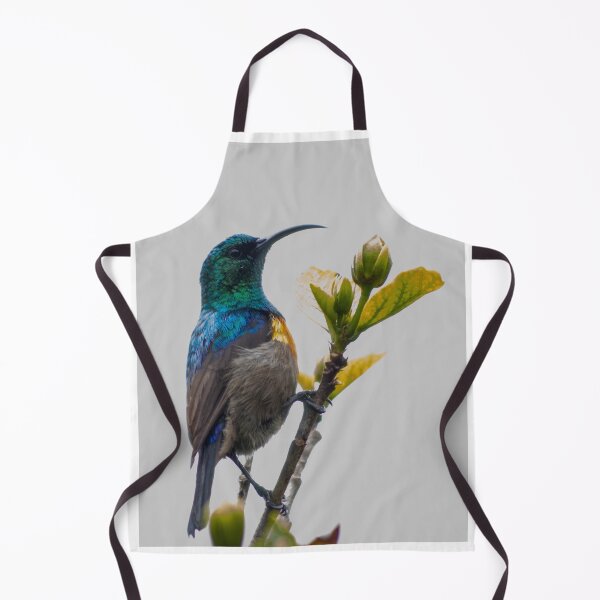 Item preview, Cape Sunbird designed and sold by chamailleonline.