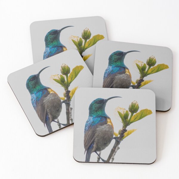 Item preview, Cape Sunbird designed and sold by chamailleonline.