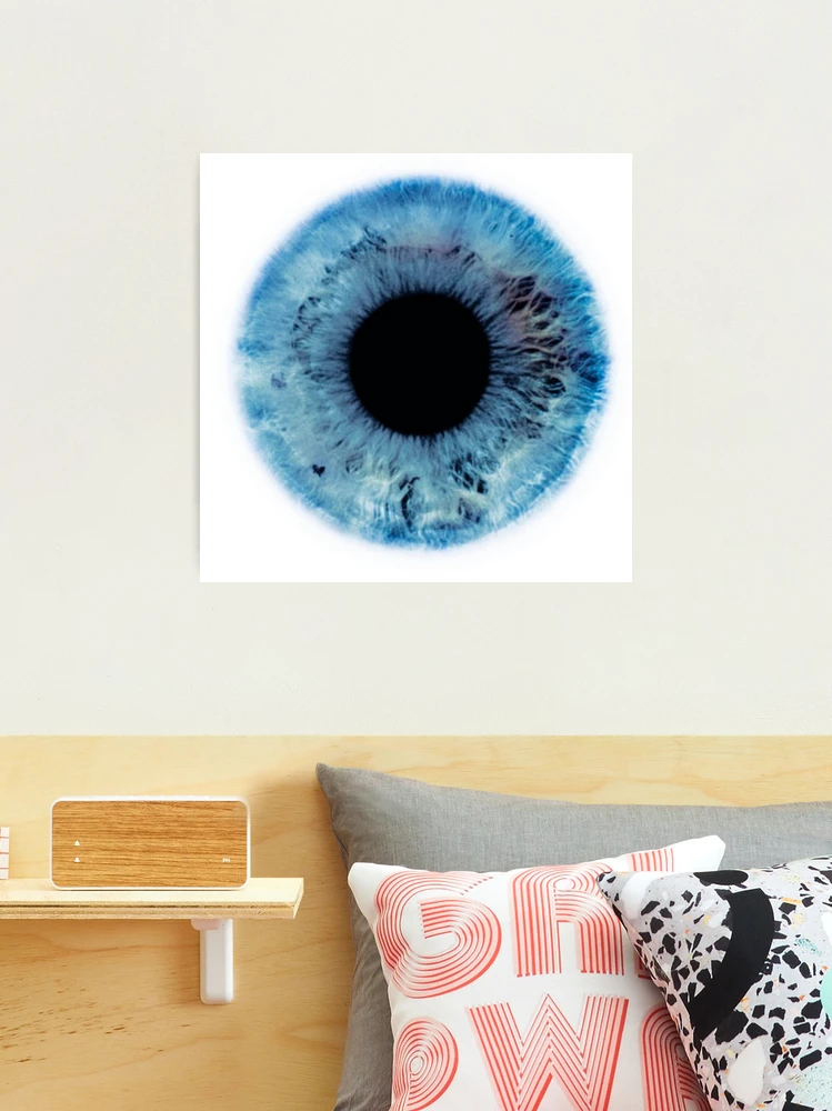 12 Blue Iris Eye Wall Dot Decal Sticker Graphic Removable Reusable Pupil  Eyeball Realistic Photo for Home Office & Bedroom Decor