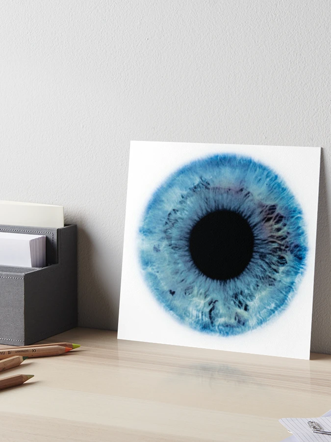 Blue Eye Iris and Pupil Photo Art Board Print for Sale by lolhammer