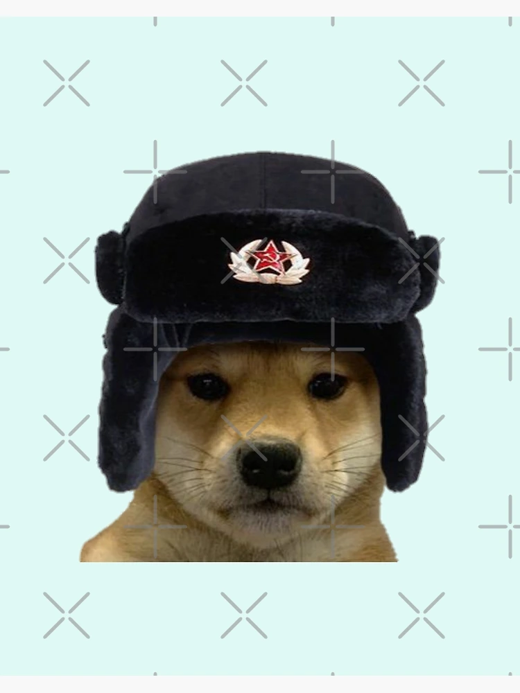 Dog with 2025 soviet hat