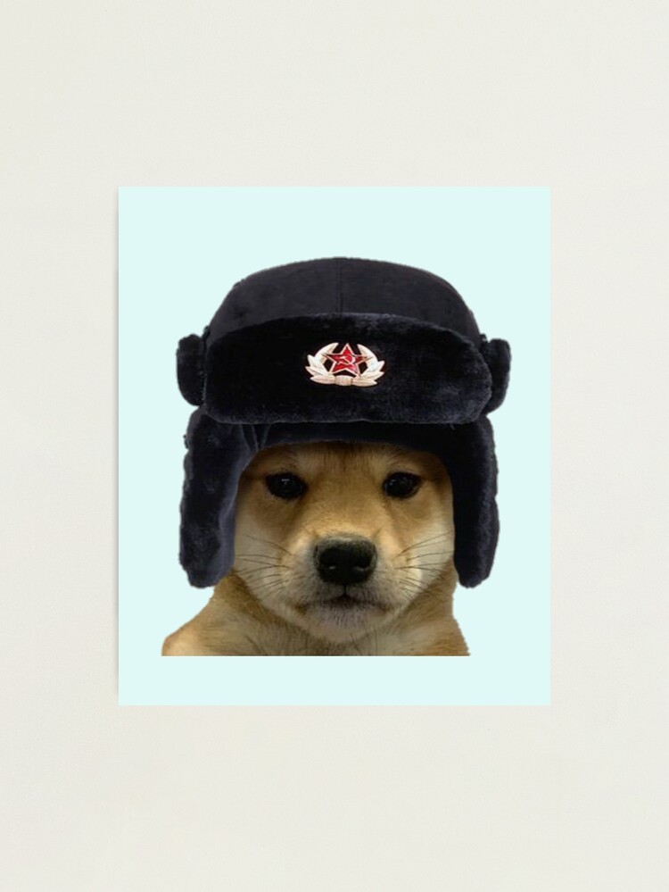 Dog with shop a russian hat