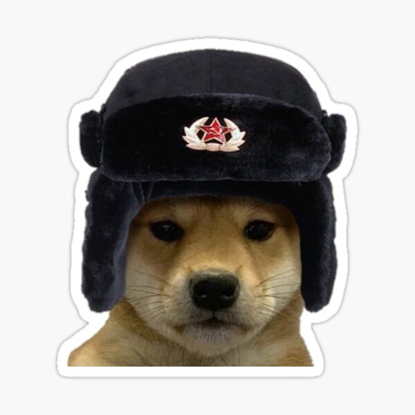 Russian shop hat dog