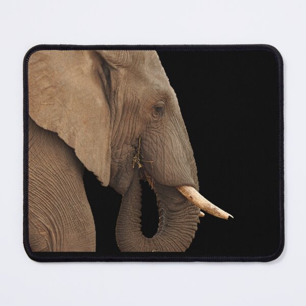 Item preview, African Elephant designed and sold by AussieAl.